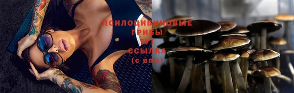 ПСИЛОЦИБИНОВЫЕ ГРИБЫ Кукмор