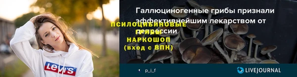 ПСИЛОЦИБИНОВЫЕ ГРИБЫ Кукмор
