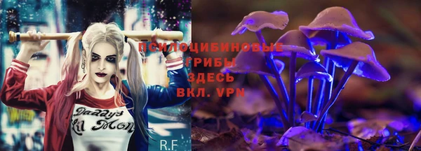 амф Кулебаки